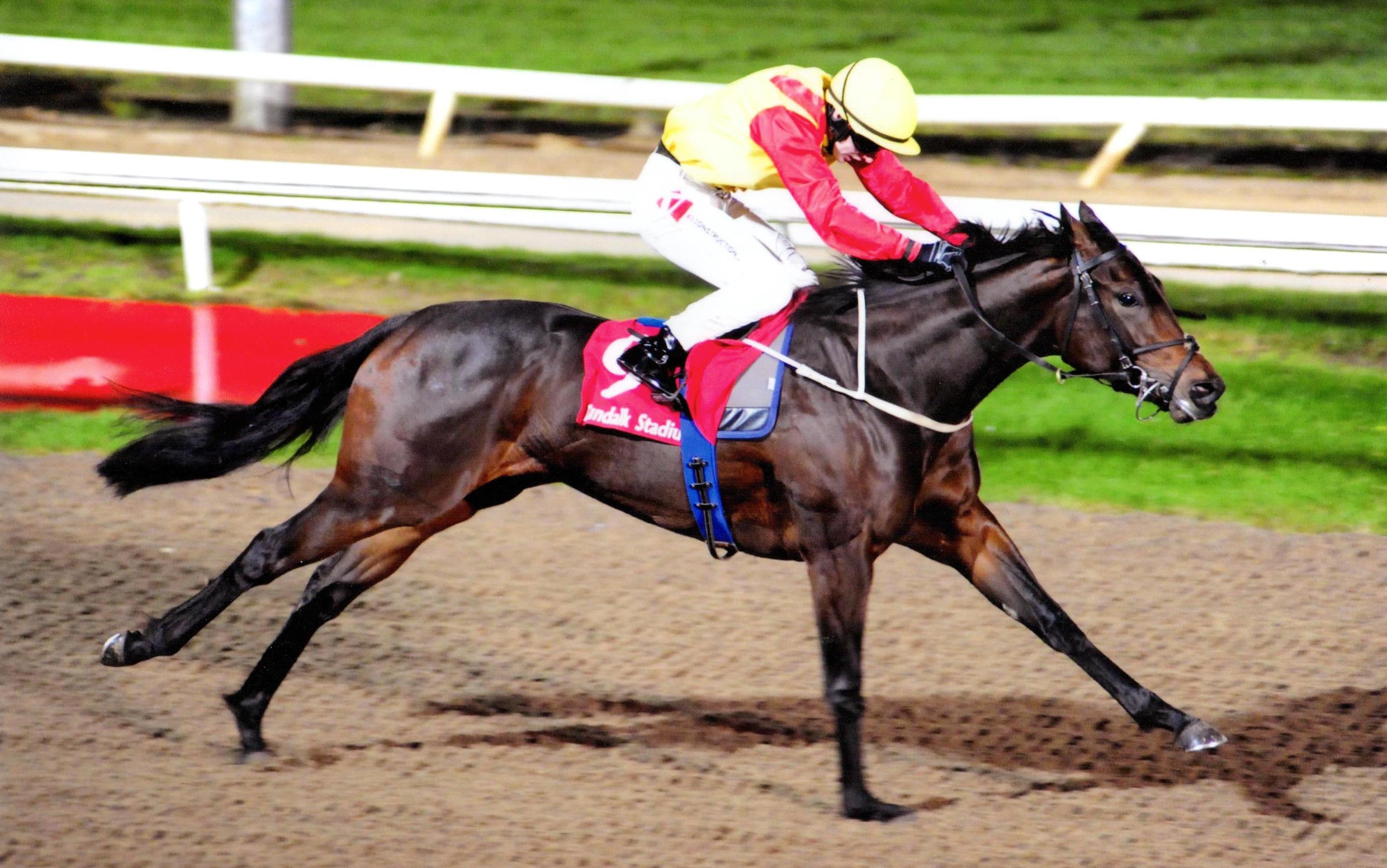 PALARIVA sheds her maiden tag under Colin Keane at Dundalk 8th Novemebr 2017